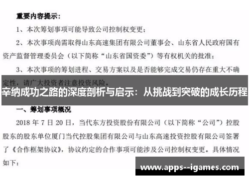 辛纳成功之路的深度剖析与启示：从挑战到突破的成长历程
